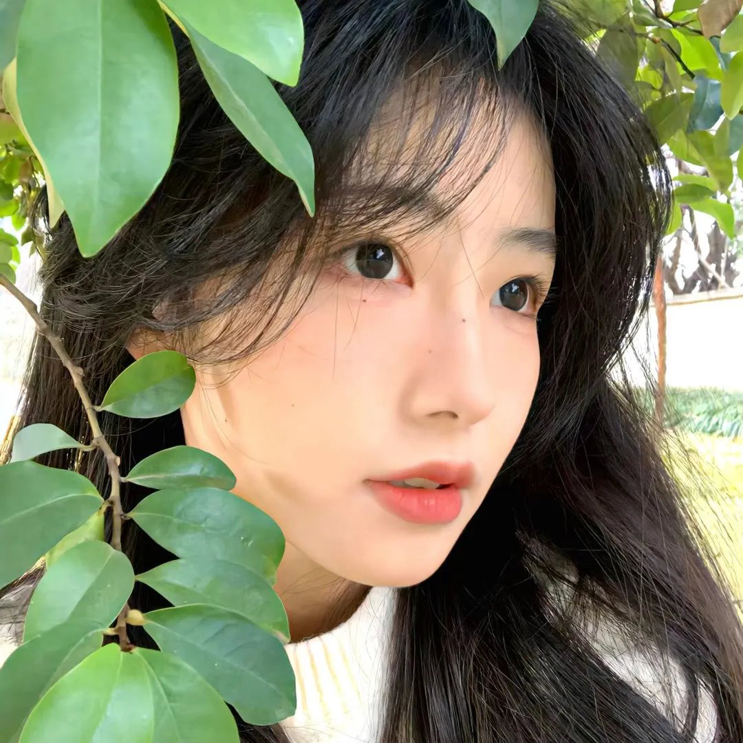 党的女儿